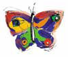 schmetterling